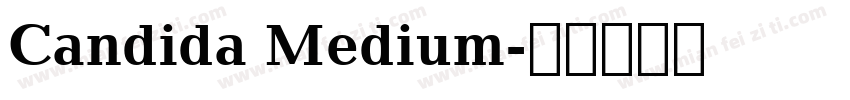 Candida Medium字体转换
